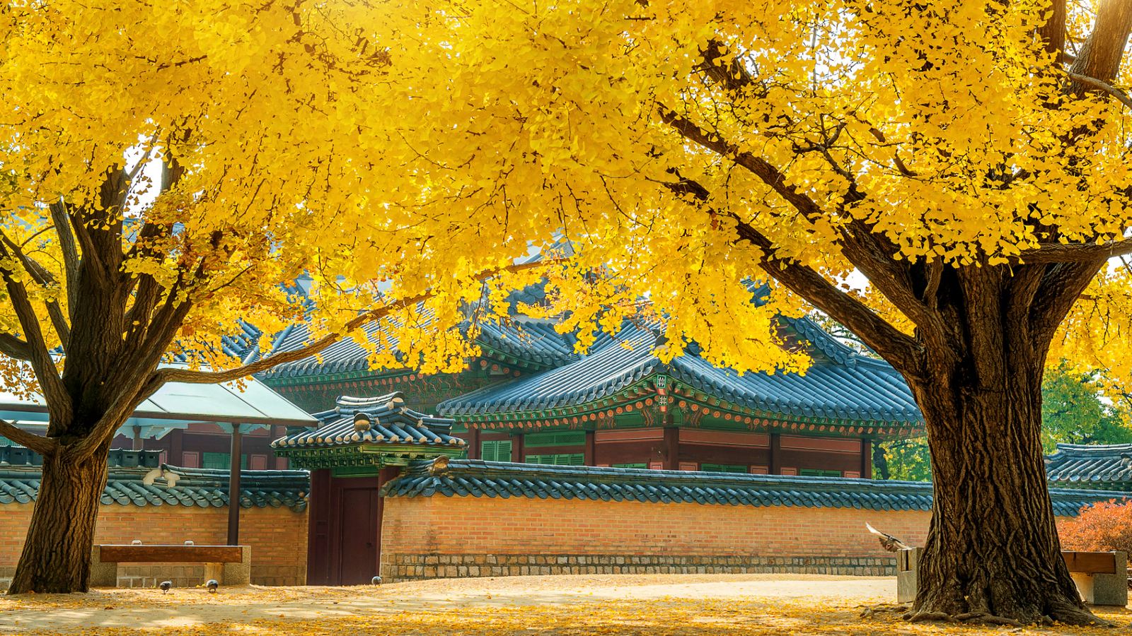 South Korea — Visit Korea